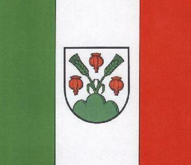 Wahlheimer Fahne mit Wappen